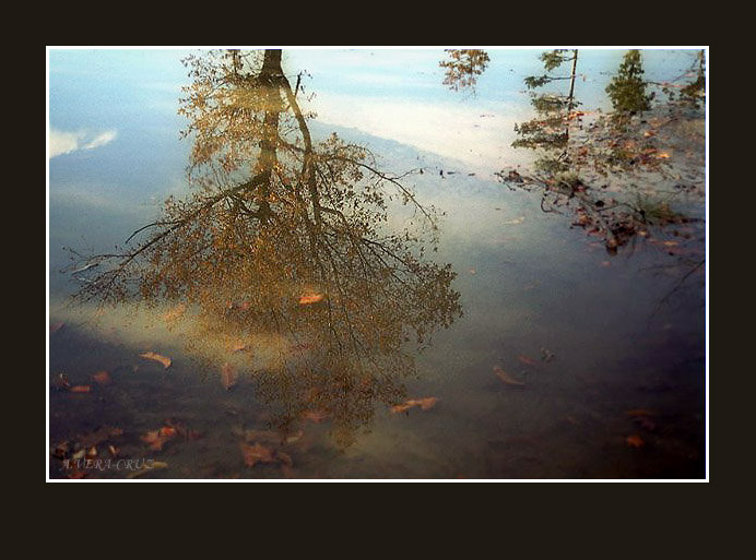 фото "Autumn Color Reflection" метки: пейзаж, осень