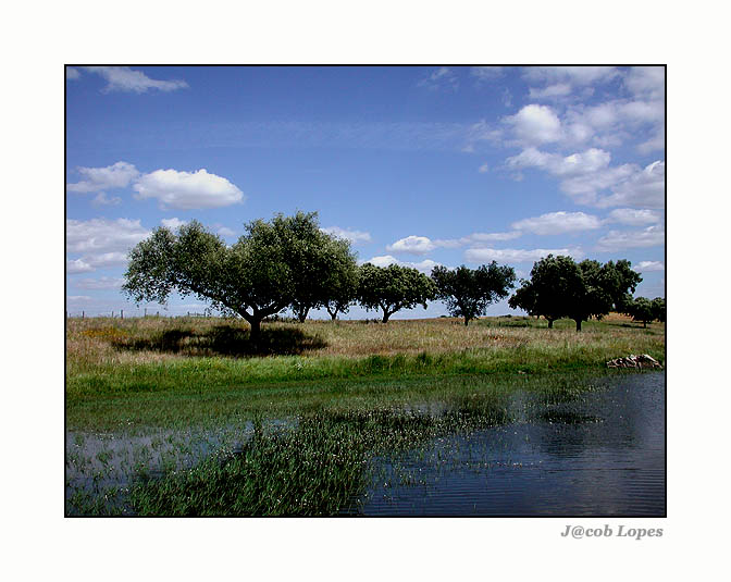 photo "harmony of colours" tags: landscape, clouds, summer