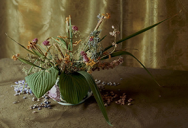 photo "Old bouquet" tags: still life, 