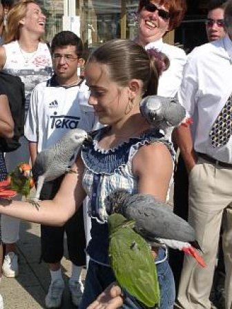 фото "The parrotgirl" метки: юмор, 