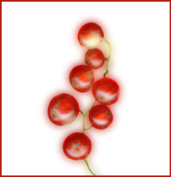 photo "Red currant." tags: still life, abstract, 