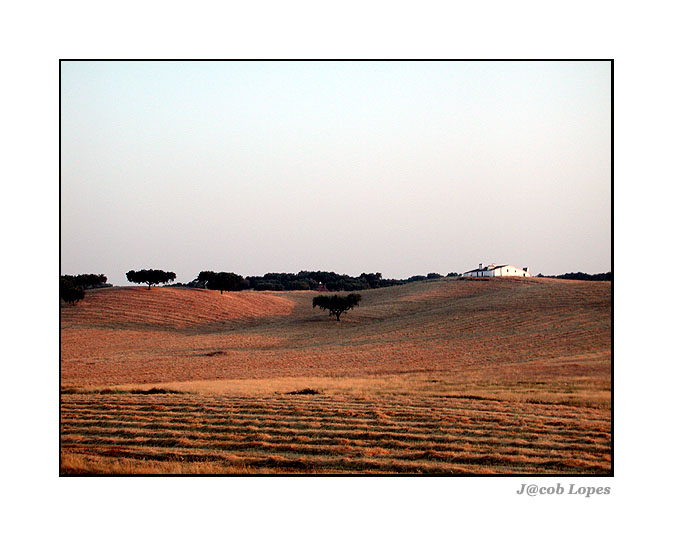 фото "the last light" метки: пейзаж, закат, лето