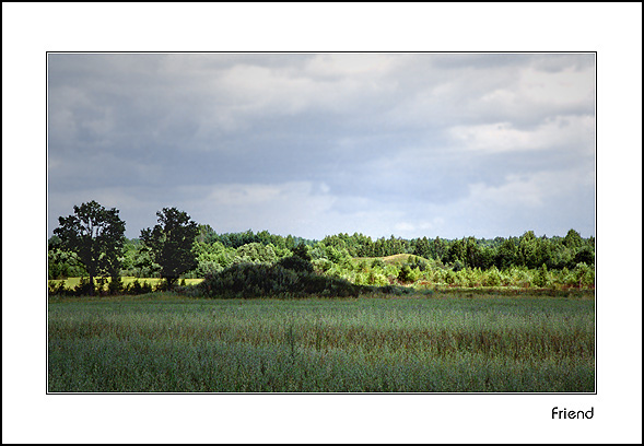 photo "Let`s walk?" tags: landscape, summer