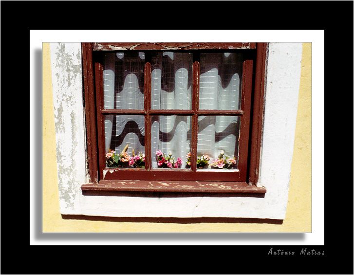 photo "windows 3.1" tags: misc., 