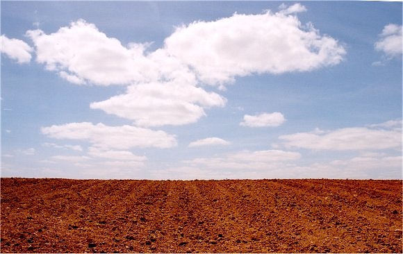 photo "Clouds of my heart" tags: landscape, spring