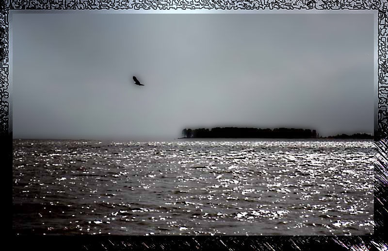 photo "Bird Over Sea" tags: landscape, water