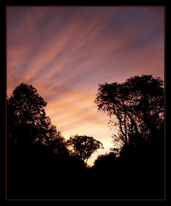 фото "Sunset in the forest" метки: пейзаж, природа, закат