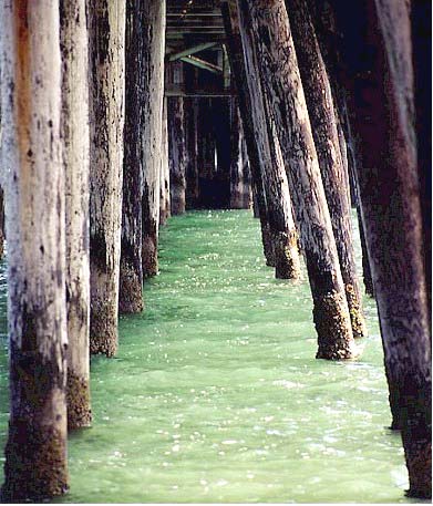 photo "Under the pier" tags: misc., 