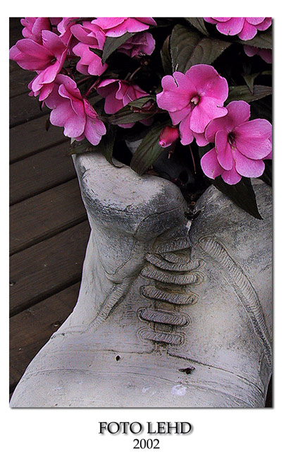 photo "Flowers in shooes" tags: still life, nature, flowers