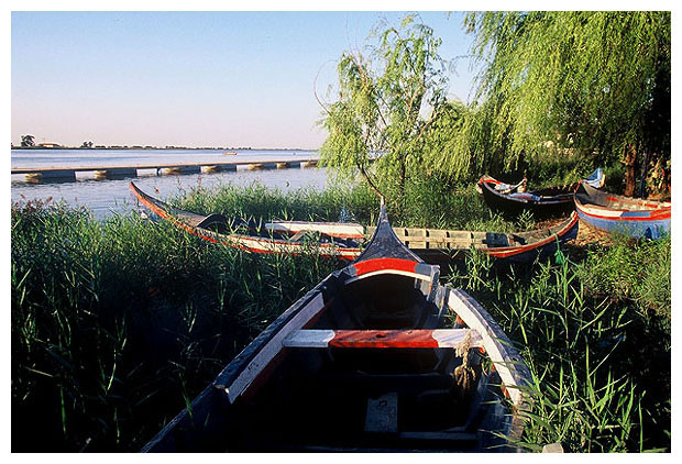 фото "Old Boats Club" метки: пейзаж, вода