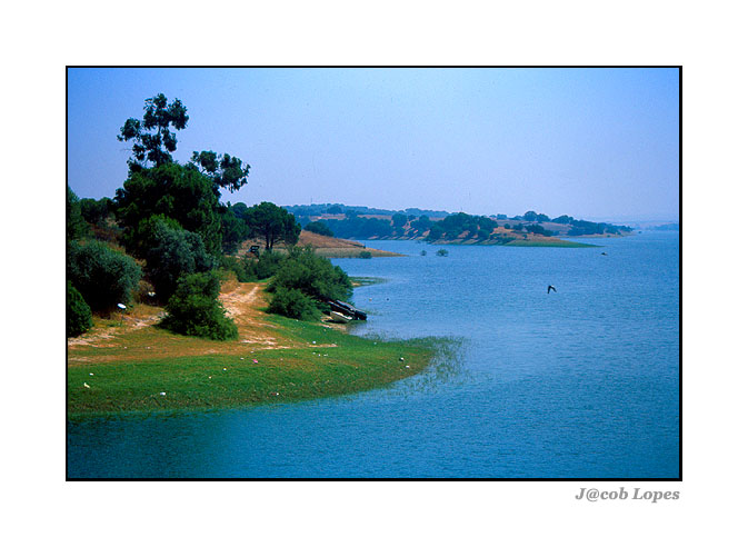 photo "Landscape in velvia" tags: landscape, summer, water