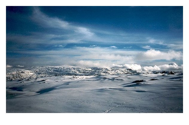 фото "Snow" метки: разное, 