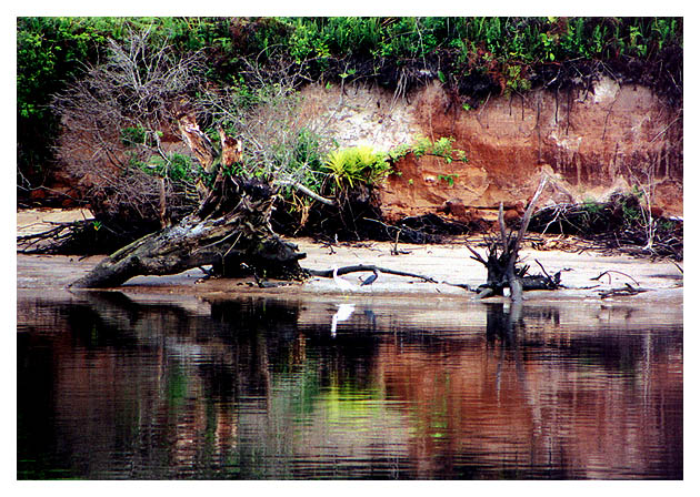 photo "Barranca" tags: nature, travel, South America