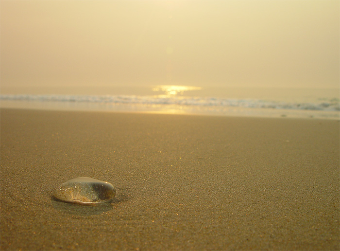 photo "A tear drop of the ocean" tags: landscape, sunset, water