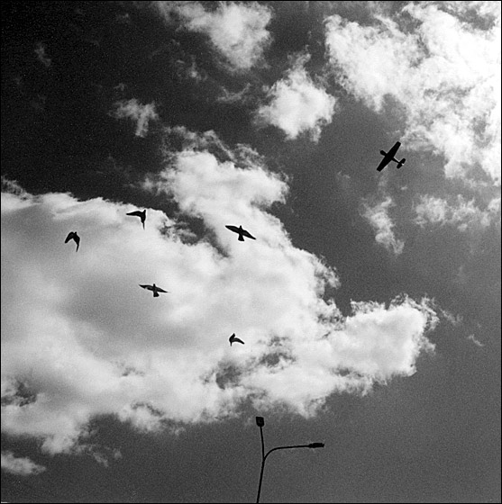 photo "The sky for all" tags: landscape, genre, clouds