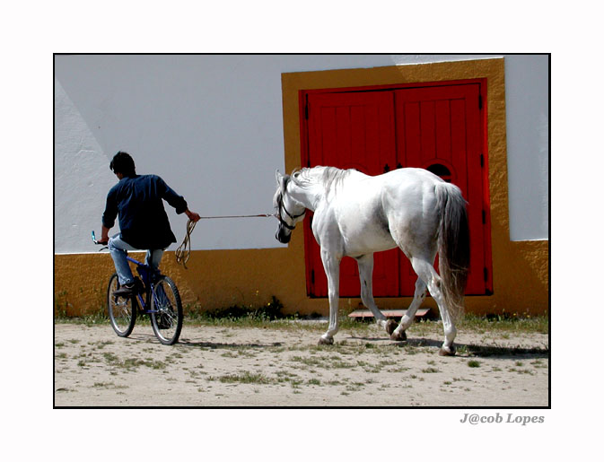 photo "cyclist? cavalier? you can never tell!" tags: humor, 