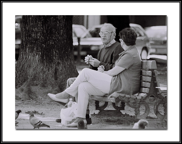 photo "In the Park, waiting the Sun." tags: landscape, spring