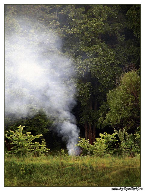 фото "Дым костра...." метки: пейзаж, природа, лес