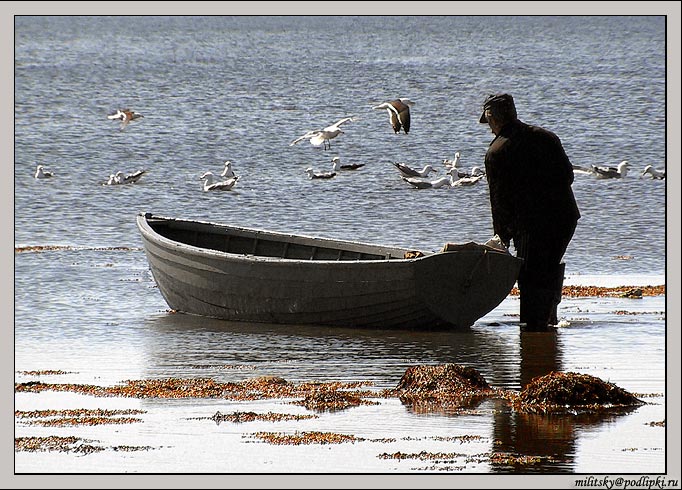 фото "В море..." метки: разное, 