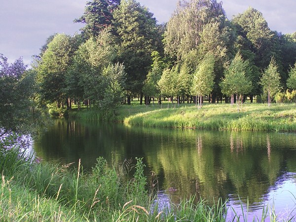 фото "The peace" метки: пейзаж, вода, лес