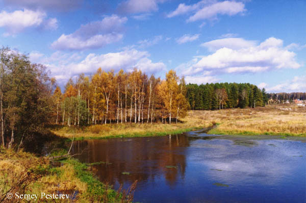 фото "Золотая осень" метки: пейзаж, осень