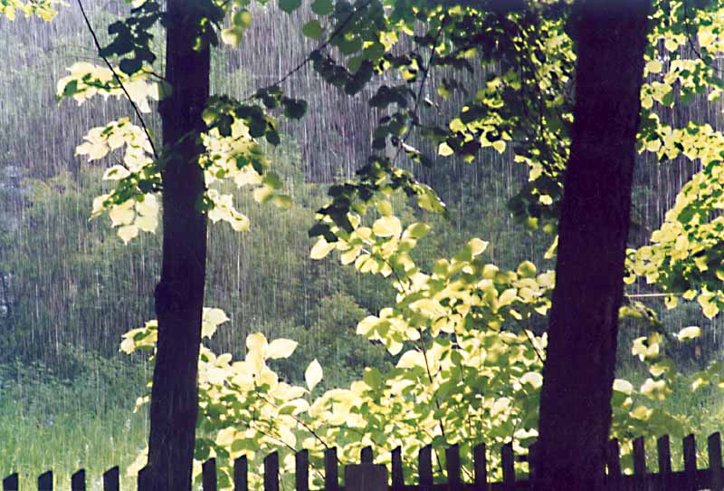 photo "Rain" tags: landscape, summer, water
