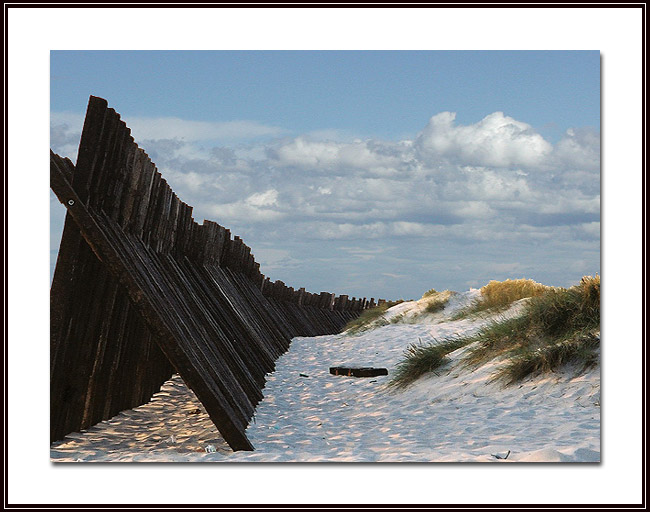 photo "In open air" tags: landscape, summer