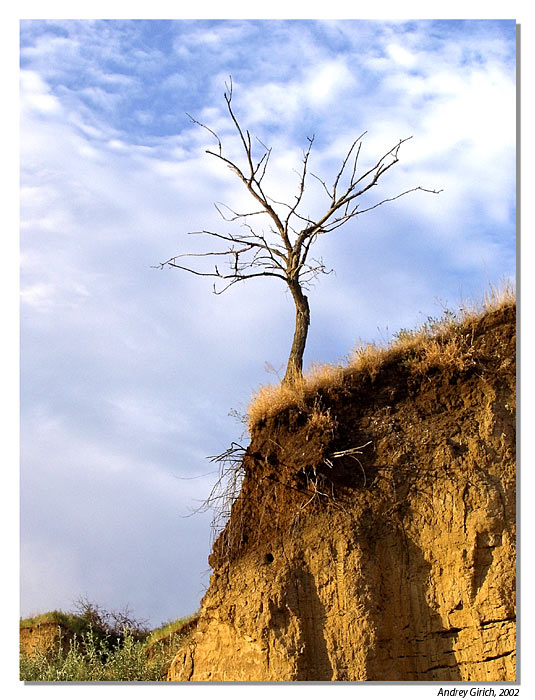 photo "The cry" tags: landscape, summer