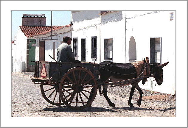 фото "Cart Man" метки: путешествия, репортаж, Европа