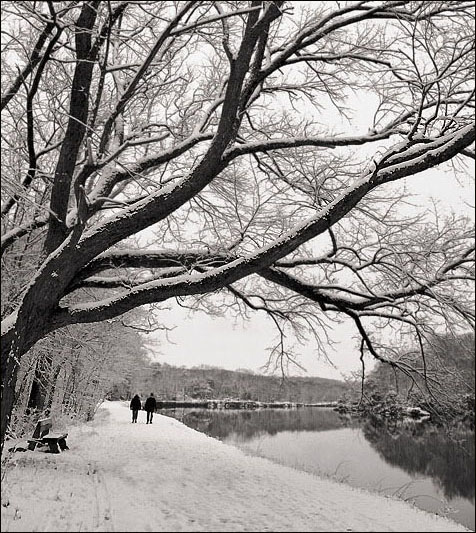 photo "One day of winter (together)" tags: landscape, winter