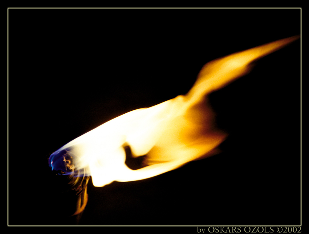 photo "the flame dance" tags: macro and close-up, genre, 