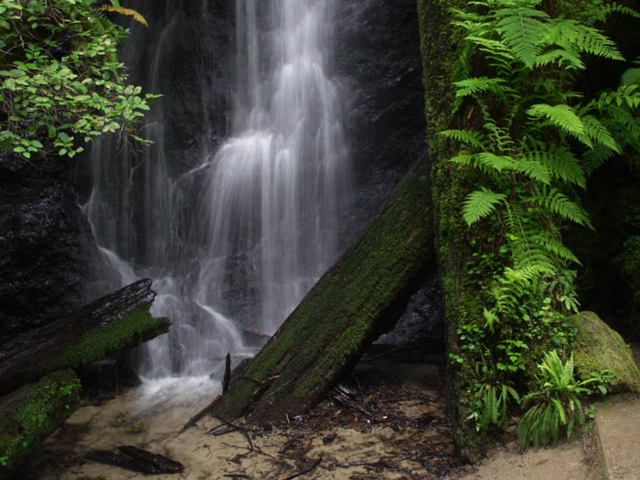 photo "Waterfall" tags: landscape, forest