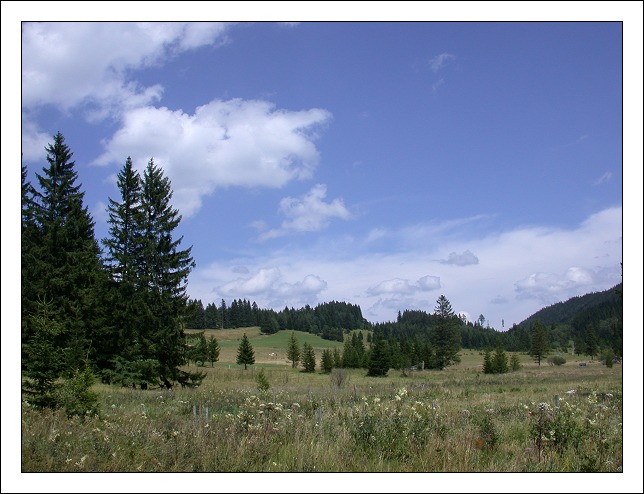 фото "Fields and CLouds" метки: пейзаж, горы, лето