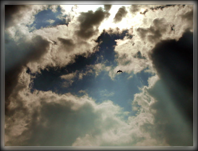 photo "Ambassador" tags: landscape, clouds