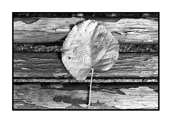 фото "The seat" метки: абстракция, 