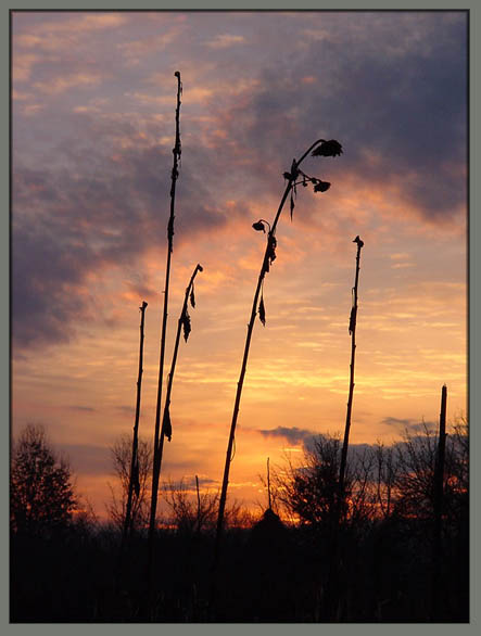 photo "*" tags: landscape, sunset