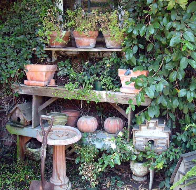 photo "garden memories" tags: still life, 