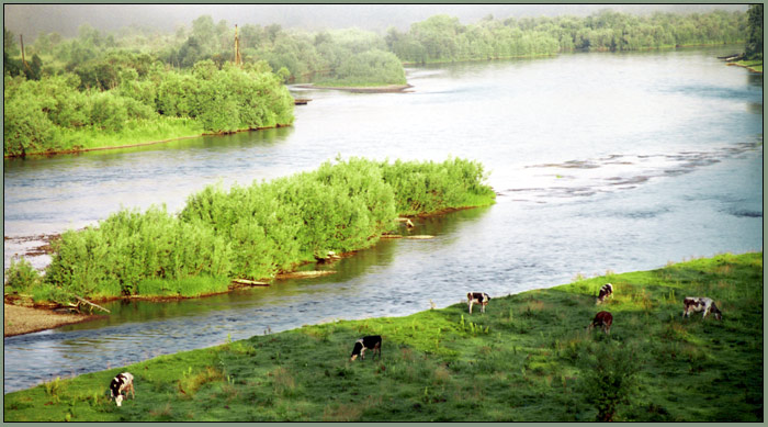 photo "А on morning they awoke" tags: landscape, summer, water