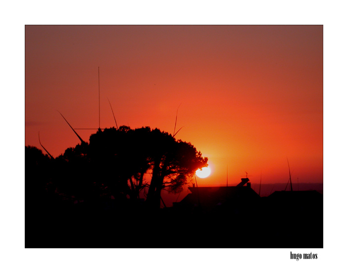 photo "Coimbra at sunset!" tags: landscape, sunset