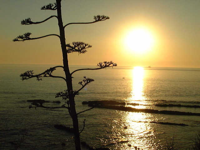 photo "Seascape .." tags: landscape, sunset, water