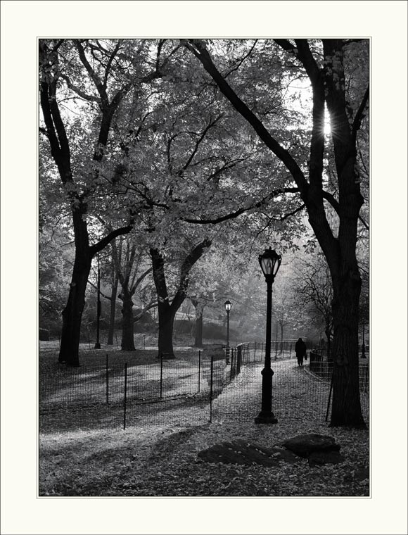 photo "Past and Present (Central Park NY)" tags: landscape, summer