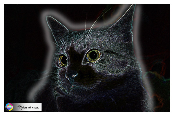 photo "Black cat..." tags: portrait, abstract, 