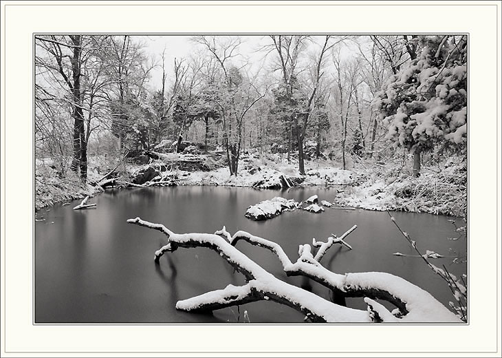 photo "Just another winter day...(Escape from the summer" tags: landscape, winter