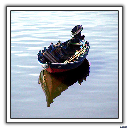 фото "Waiting for Action" метки: разное, 