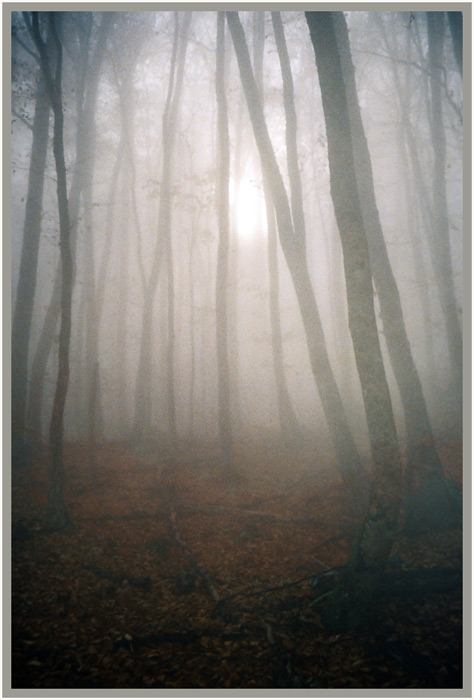 photo "Autumn Silence" tags: landscape, autumn