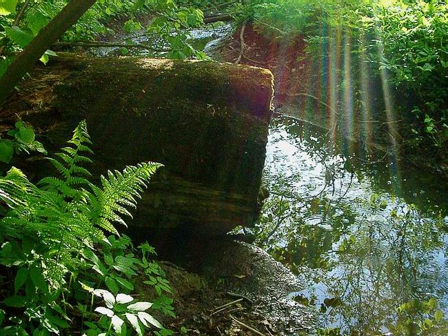 photo "*****" tags: landscape, summer