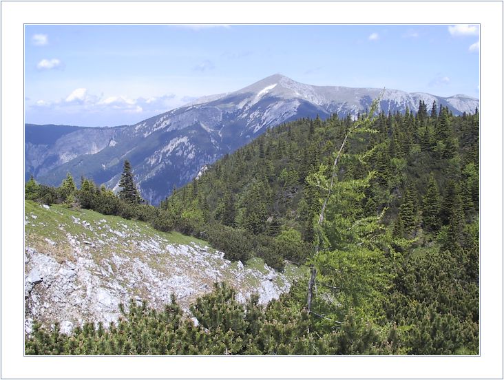 photo "The Other Side of Schneeberg" tags: landscape, mountains, summer
