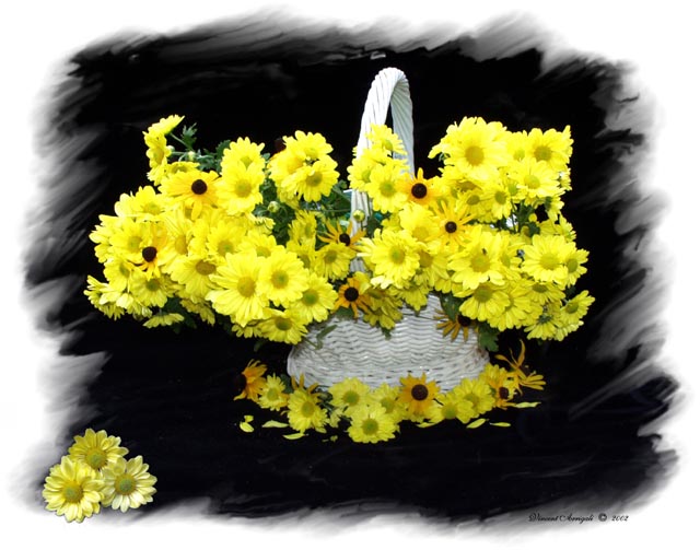 photo "Yellow Flowers" tags: still life, 