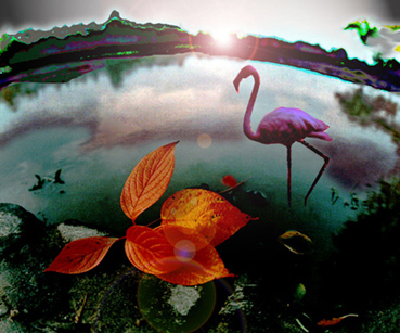 photo "Evening fairy tale" tags: landscape, montage, 