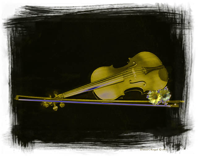 фото "Golden Violin" метки: натюрморт, фотомонтаж, 